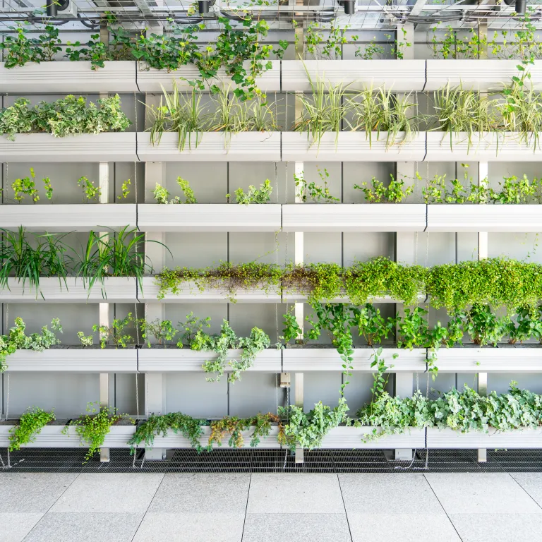 casa con balcones que tienen plantas verdes