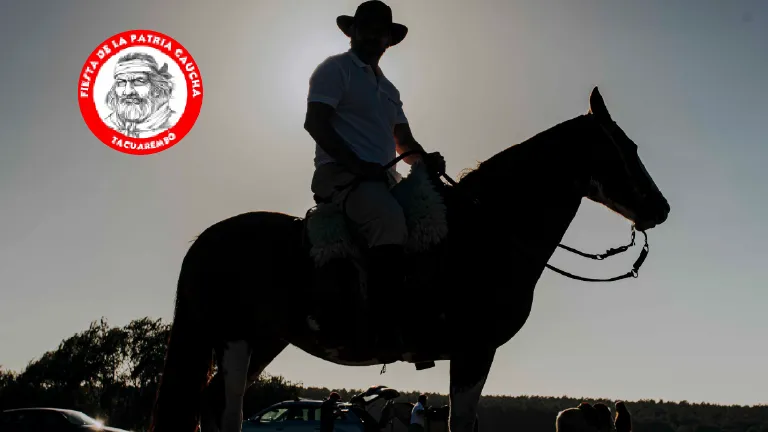 caballo y patria gaucha