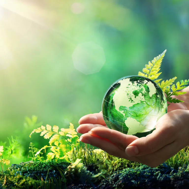 manos agarrando un mundo verde