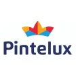 Pintelux-65496bae1ee1e.jpg