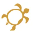 Tartaruga-681c37e8adc26.png