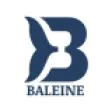 Baleine-699fd0209aa65.jpg