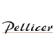 Pellicer Parrilla Gourmet-699fcfdd2d58e.jpe