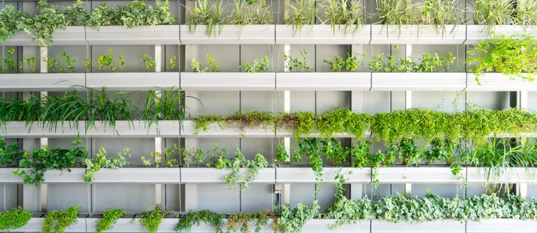 casa con balcones que tienen plantas verdes