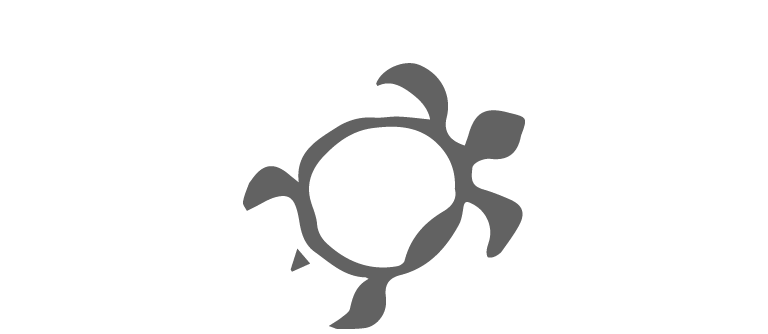 Tartaruga