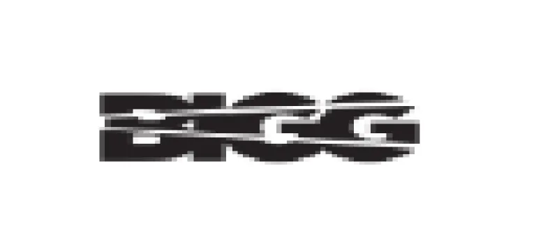 BIGG-66581a0a99475.png