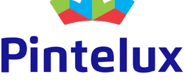 Pintelux-694f5ed1a9311.png