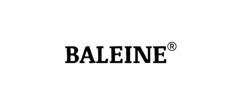 Baleine-69d7335fabe2b.png