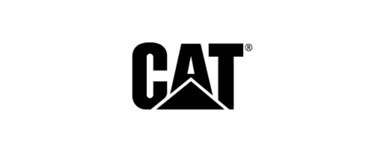 CAT-69d876b728f70.png