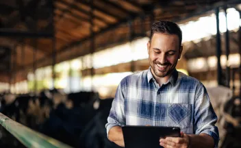 hombre mirando tablet con vacas detrás