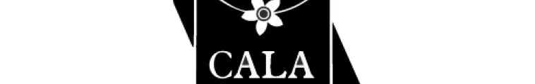 Calabaza-69d87705cd1f0.png